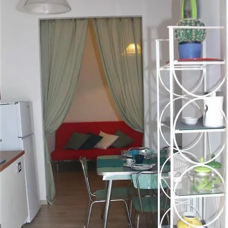 Il Cactus *