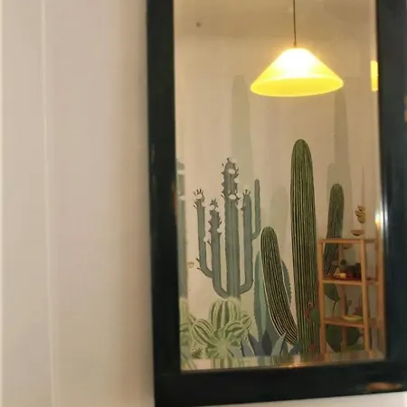 Il Cactus