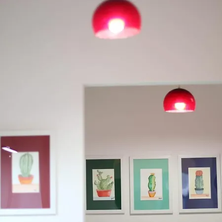 Il Cactus