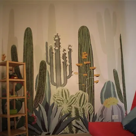 Il Cactus